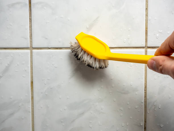 Best Mold Cleaning Services  in Laurel Lake, NJ