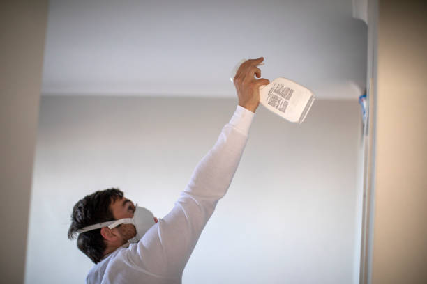 Best Residential Mold Removal  in Laurel Lake, NJ
