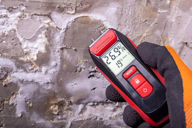 Best Certified Mold Removal  in Laurel Lake, NJ