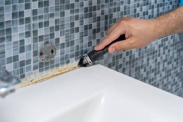 Best Certified Mold Removal  in Laurel Lake, NJ